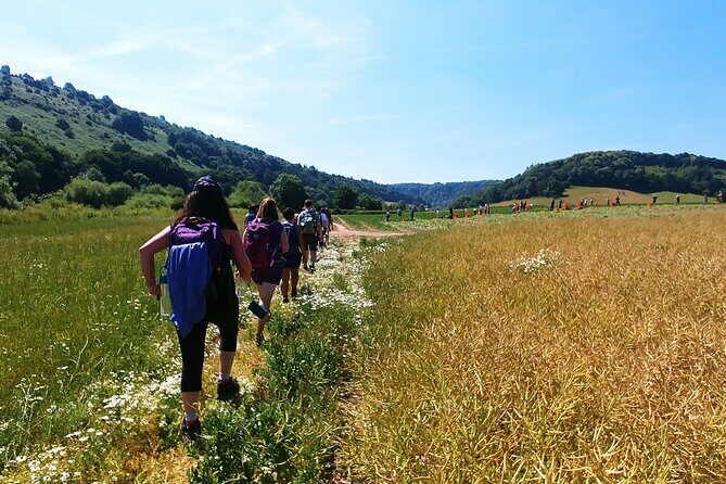 Private Guided Hike: King Arthur's Wye Valley Wander - Explore the Wye Valley on a Private Guided Hike: King Arthurs Wye Valley Wander