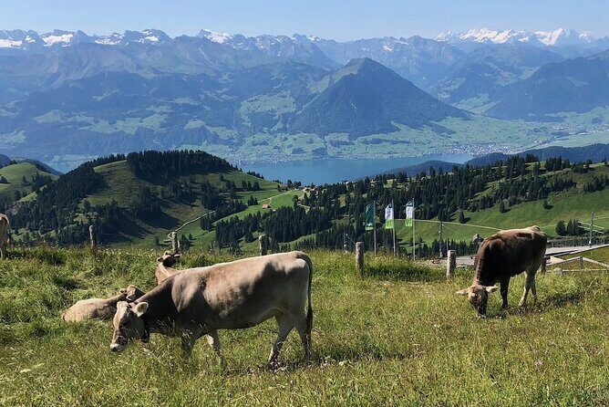 Private Guided Hike on Mt. Rigi with Farm Visit and BBQ - Frequently Asked Questions