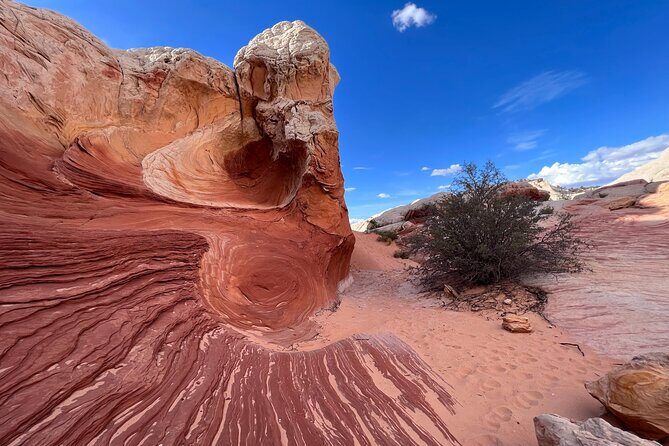 Private Guided Hike through White Pocket Off Road Activity - What Past Visitors Say
