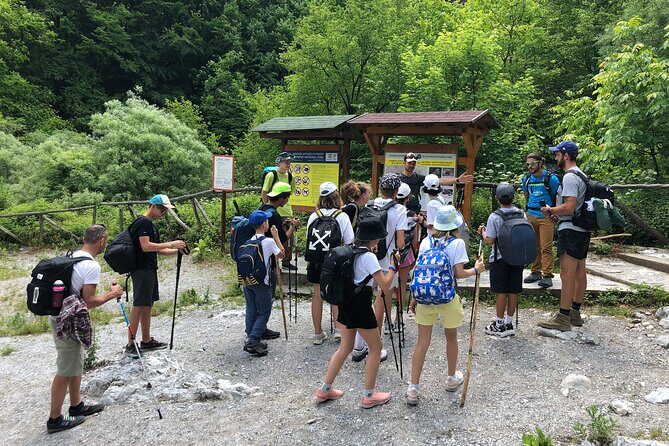Private Guided Hiking in Mt Olympus National Park - A Detailed Look at the Hiking Experience
