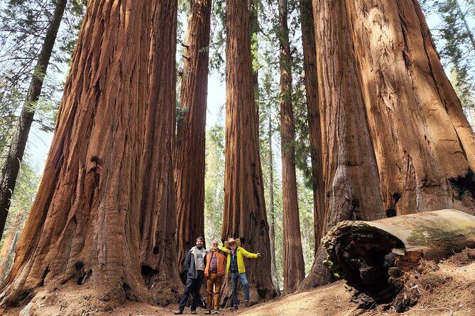 Private Guided Hiking Tour - Sequoia National Park - An In-Depth Look at the Private Guided Hiking Tour