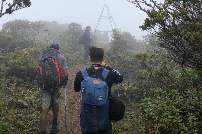Private Guided Hiking Tour to the Blue Mountains - FAQs about the Blue Mountains Guided Tour