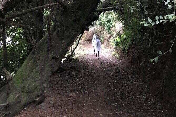 Private Guided Hiking Tour to the Blue Mountains - Final Thoughts