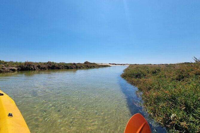 Private Guided kayak Tour/Birdwatching/Nature Tour. - Who Is This Tour Best For?