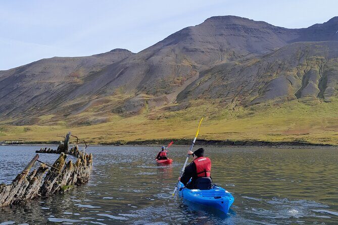 Private: Guided kayak tour in Siglufjörður / Siglufjordur. - Why Choose a Guided Kayak Tour in Siglufjörður?