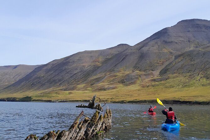 Private: Guided kayak tour in Siglufjörður / Siglufjordur. - The Value of the Experience