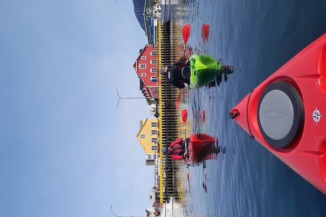 Private: Guided kayak tour in Siglufjörður / Siglufjordur. - Who Will Love This Tour?