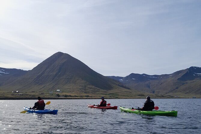 Private: Guided kayak tour in Siglufjörður / Siglufjordur. - Frequently Asked Questions