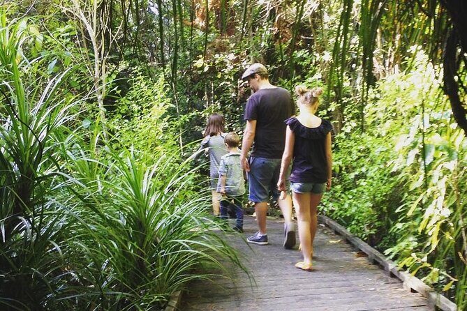 Private Guided Kiwi Encounter in Nga Manu Reserve - FAQs