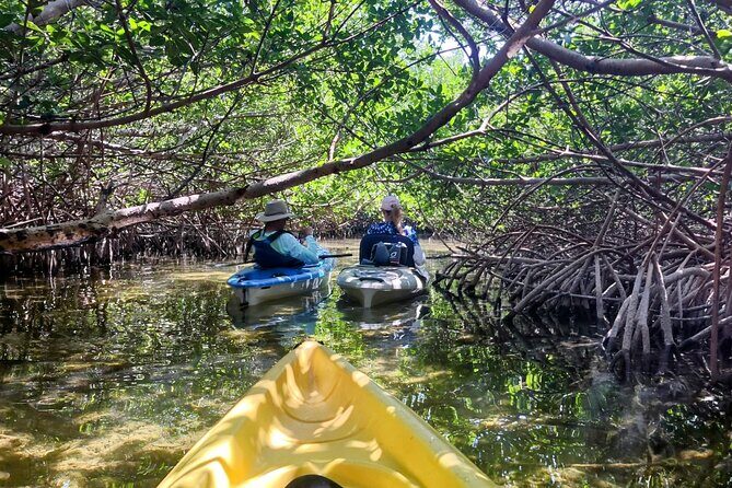 Private Guided Mangrove Eco-Tour Adventure - Experience the Hidden Beauty of Geiger Key with a Private Mangrove Eco-Tour