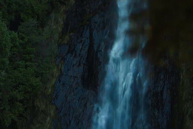 Private Guided Milford Sound Tour ex Queenstown - Transportation and Logistics: How It Enhances Your Experience