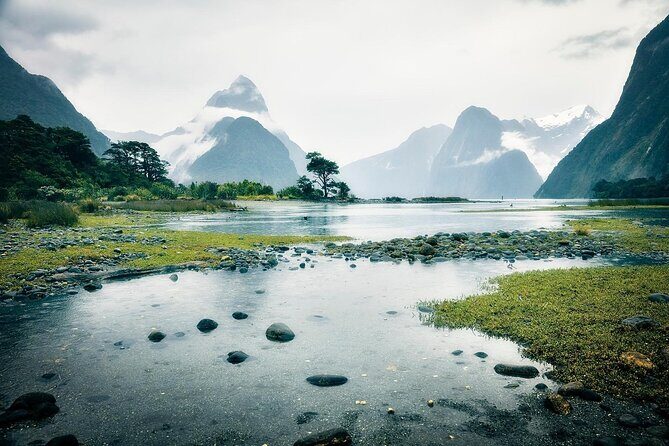 Private Guided Milford Sound Tour ex Queenstown - Who Will Love This Tour?