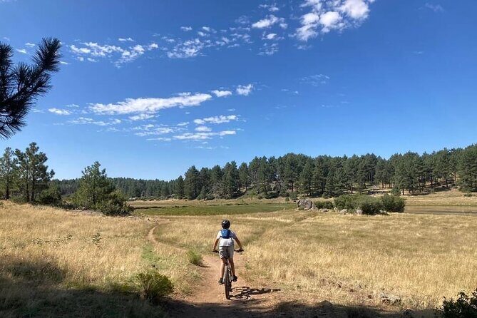 Private Guided Mountain Bike Lesson in San Diego Mountains - Who Should Book This Tour?