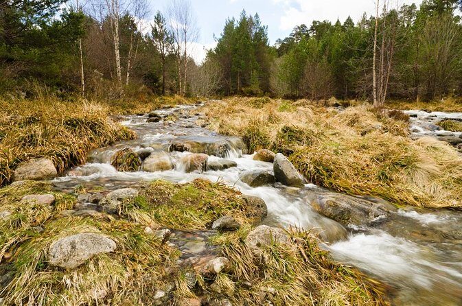 Private Guided Mountain Walking Experience in the Cairngorms - Exploring the Cairngorms: A Private Guided Mountain Walk