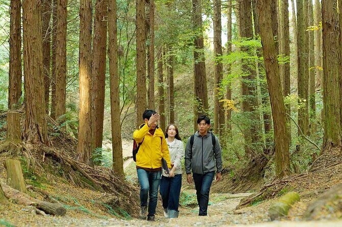 Private Guided Mt. Kunimi Trek - Exploring the Private Guided Mt. Kunimi Trek: An Authentic Nature Escape Near Osaka