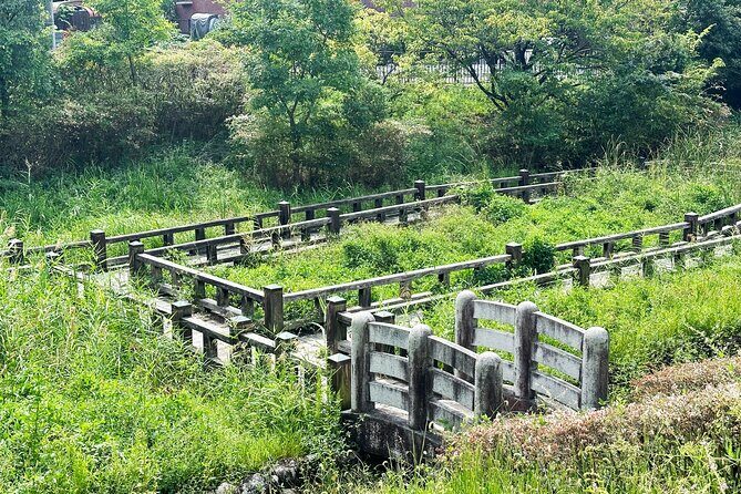 Private Guided Mt. Kunimi Trek - Who Is This Tour Perfect For?