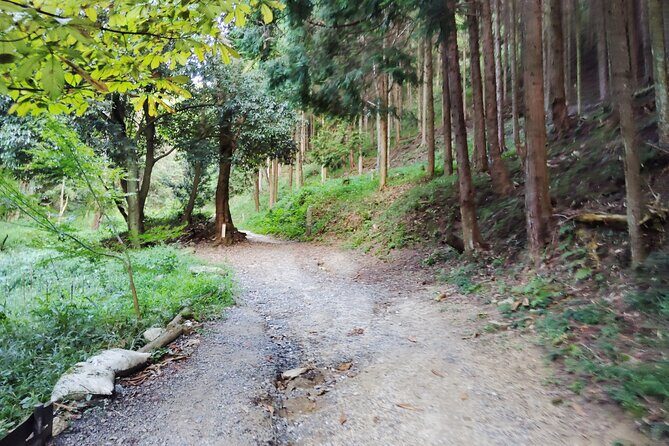 Private Guided Mt. Kunimi Trek - Frequently Asked Questions