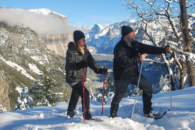 Private Guided Snowshoe Hike in Yosemite - Key Points