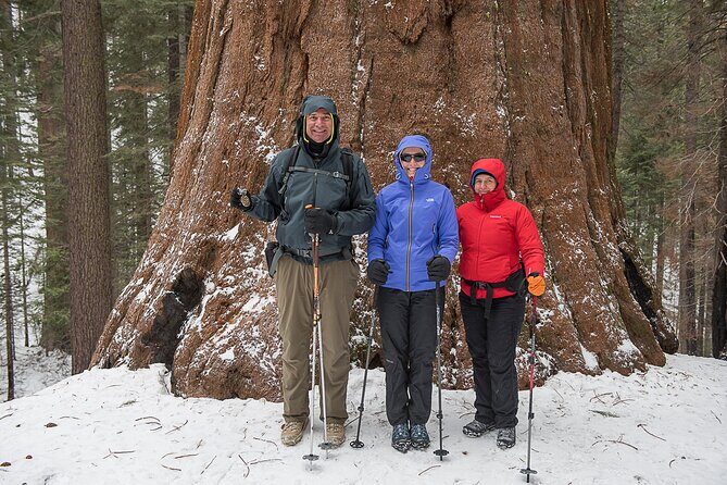 Private Guided Snowshoe Hike in Yosemite - FAQs