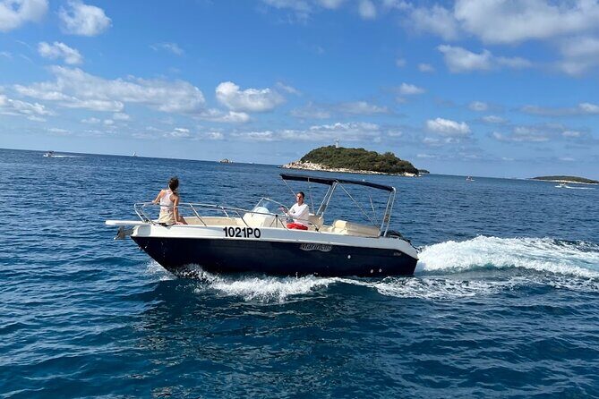 Private Guided Sunset Dolphin Watching in Adriatic Sea - Practical Details: How to Make the Most of Your Tour