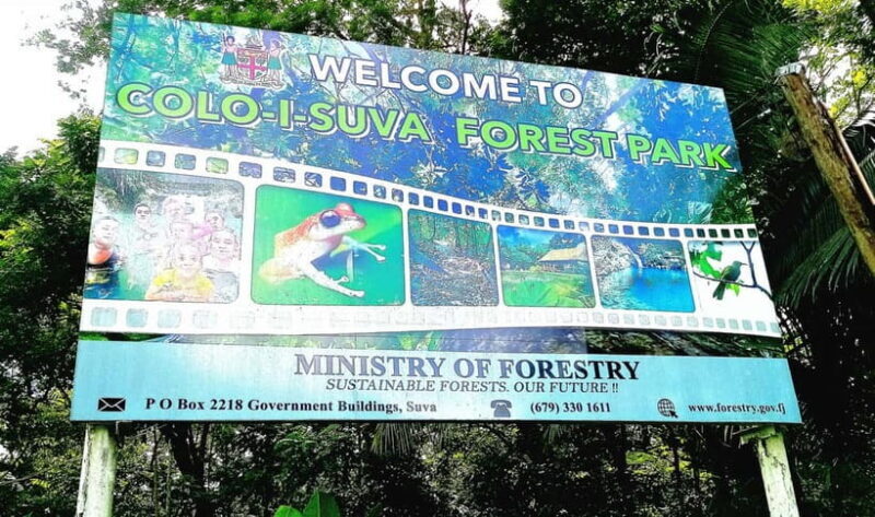 Private Guided Suva Shore Excursions - Who Should Book This Tour?