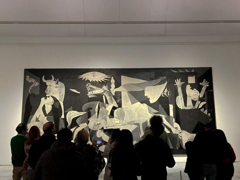 Private Guided tour Afternoon Art Delight at Reina Sofía - Who Would Love This Tour?