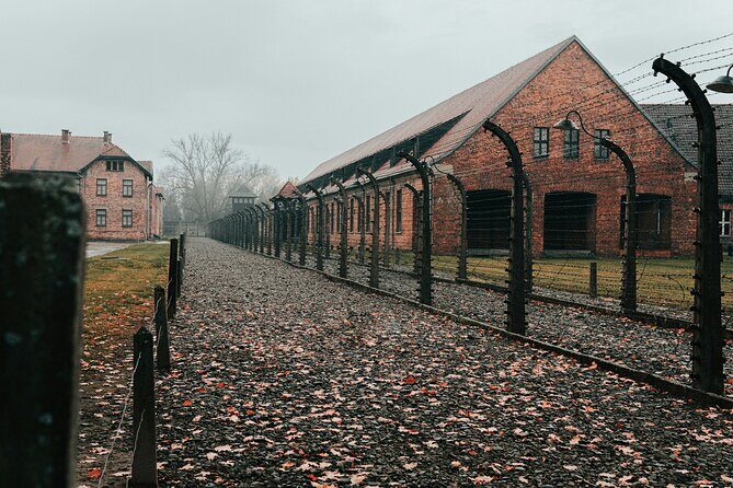 Private Guided Tour Auschwitz Birkenau with Transport from Krakow - Who Will Love This Tour?