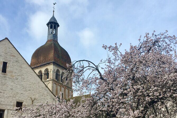 Private guided tour - Beaune 2h - In-Depth Review of the Beaune Private Guided Tour