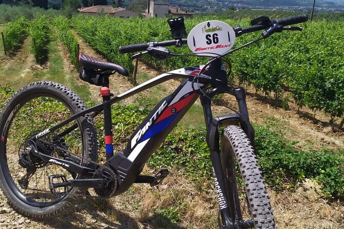 Private Guided Tour by E-Bike and Electric MTB in Fiesole - Exploring Florence’s Hidden Gems: A Private E-Bike Tour in Fiesole