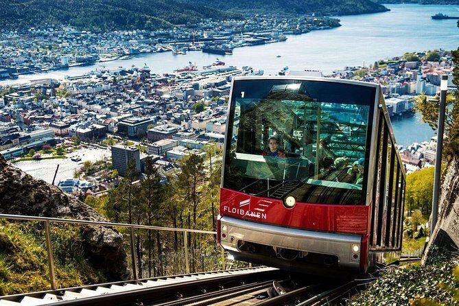 Private guided tour - City sightseeing, Bergens top attractions - Key Points