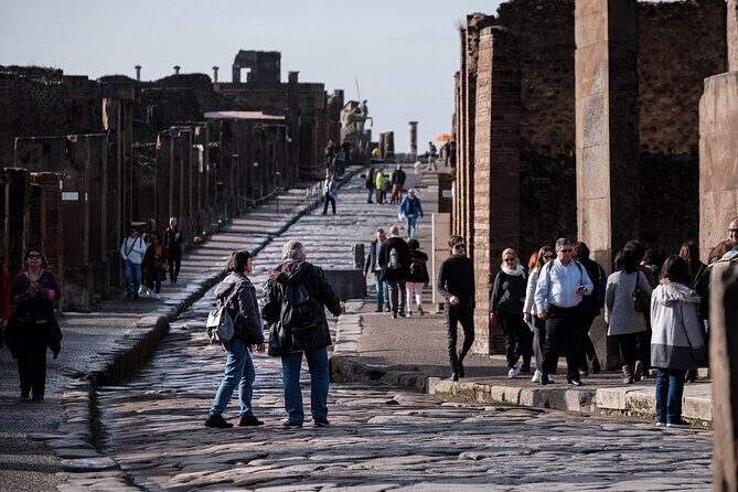 Private Guided Tour from Rome to Pompeii - Key Points