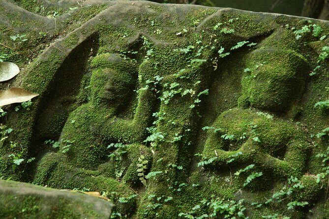 Private Guided Tour from Siem Reap to Beng Mealea Temple - A Closer Look at the Tour Experience