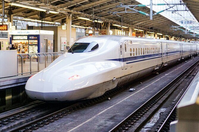 Private Guided Tour from Tokyo to Kyoto - FAQ