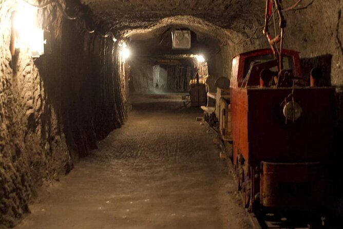 Private guided tour from Vienna to Hallstatt with Skywalk & Salt Mine Experience - FAQs
