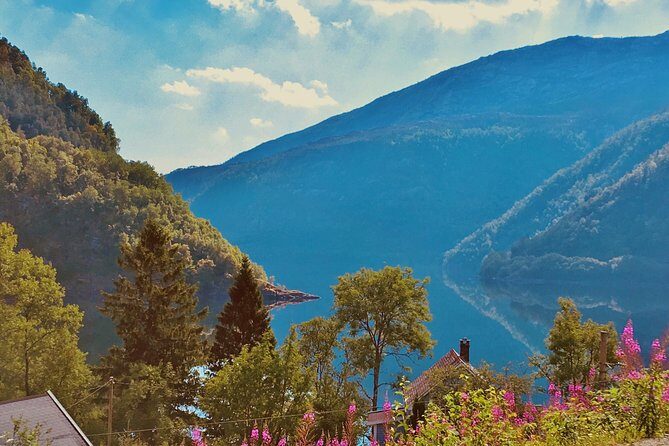 PRIVATE GUIDED TOUR: Highlights of Norway  Trip to the Sognefjord  SUMMER - Exploring the Sognefjord: A Comprehensive Review