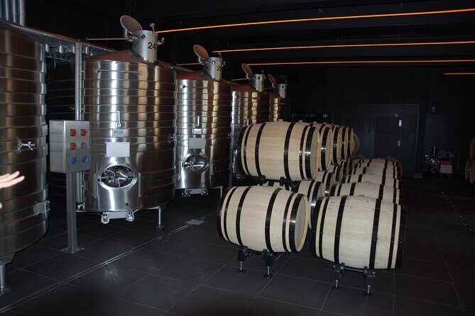 Private Guided Tour in Champagne from Paris with Moet&Chandon visit. - Who Should Book This Tour?
