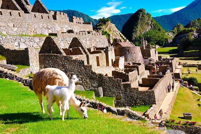 Private Guided Tour in Machu Picchu - What to Expect at Machu Picchu with a Private Guide