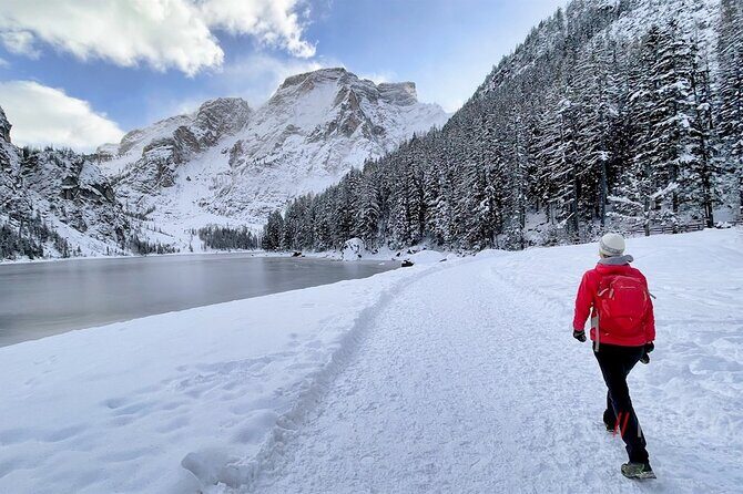 Private Guided Tour in the Dolomites from Venice - Key Points