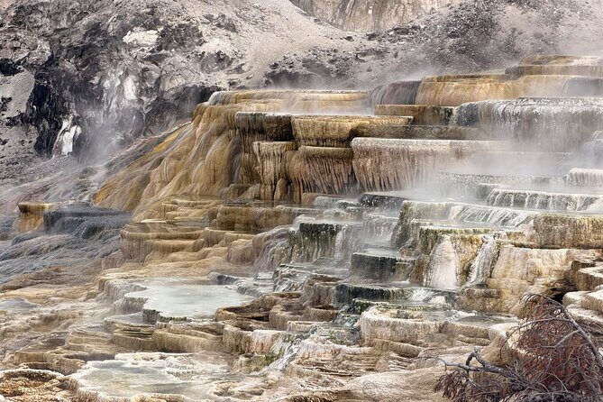 Private Guided Tour in Yellowstone National Park - Why Choose a Private Guided Tour in Yellowstone?