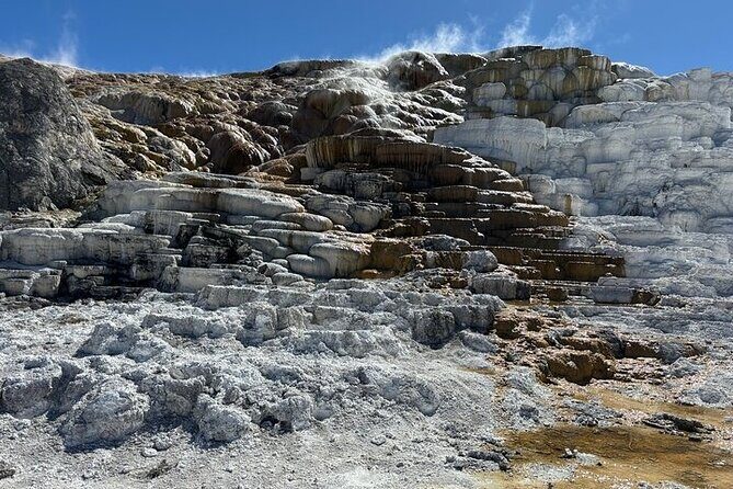 Private Guided Tour in Yellowstone National Park - Who Should Consider This Tour?