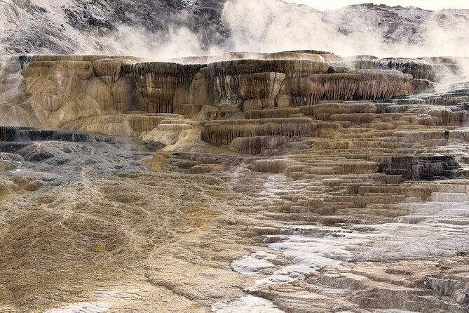 Private Guided Tour in Yellowstone National Park - Final Thoughts