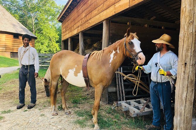 Private Guided Tour of George Washington's Mount Vernon - The Museum and Education Center