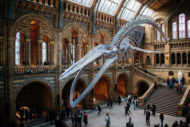 Private Guided Tour of Natural History Museum - Skip the Line - A Personal Look at the Private Guided Tour of the Natural History Museum