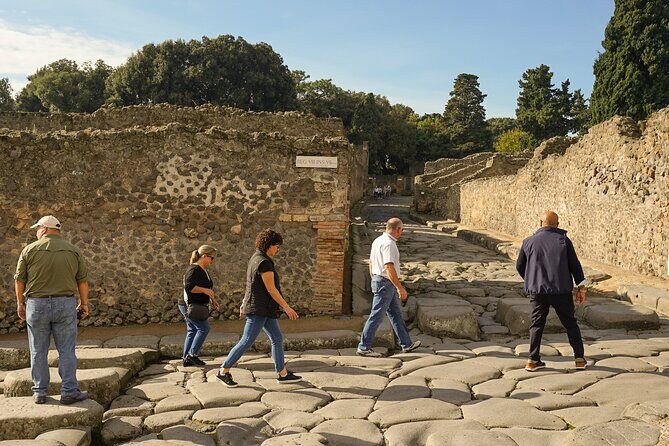 Private Guided Tour of Pompeii with Lunch in Winery - Final Thoughts: Is This Tour for You?