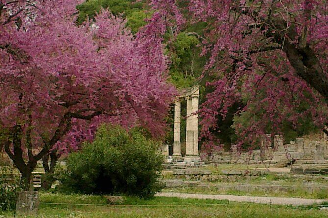 Private Guided Tour of the Archaeological Site and Museum of Olympia - An In-Depth Look at the Olympia Private Guided Tour