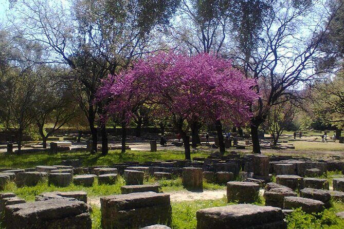 Private Guided Tour of the Archaeological Site and Museum of Olympia - Who Should Consider This Tour?