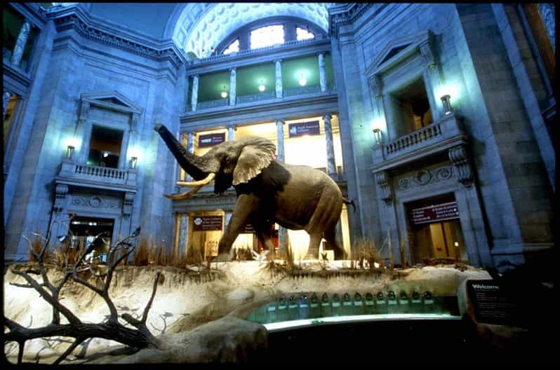 Private Guided Tour of The Natural History Museum - Exploring the Natural History Museum: What to Expect from Your Private Tour