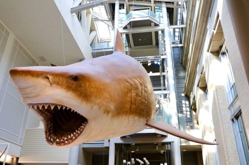 Private Guided Tour of The Natural History Museum - Informed by Others: What Do Visitors Say?
