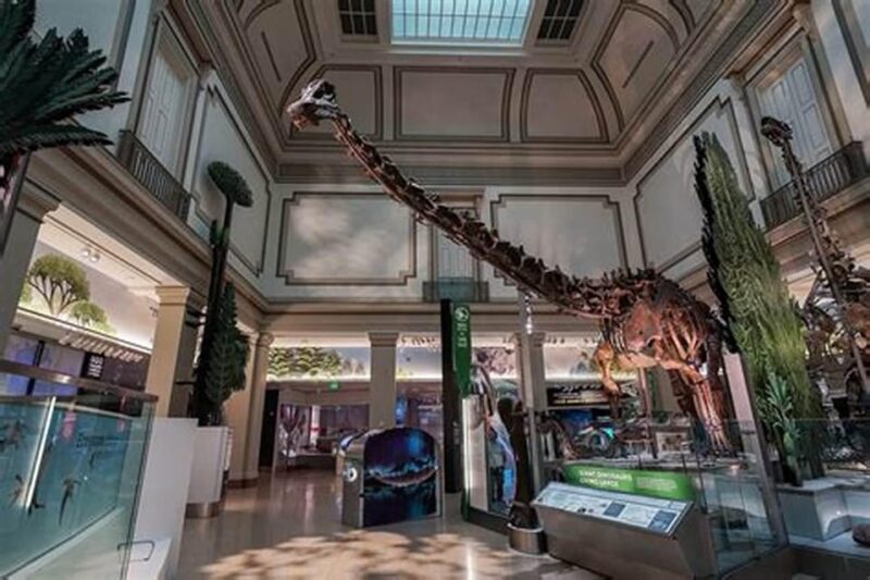 Private Guided Tour of The Natural History Museum - The Sum Up: Is This Tour Right for You?