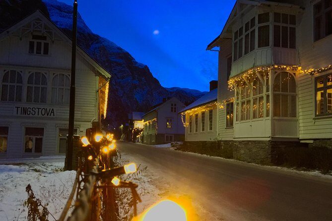 PRIVATE GUIDED TOUR: The Heart of Norway  Viking Special, 8-9 hours  WINTER - Why This Tour Works for You